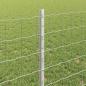 Preview: Euro-Zaun mit Pfosten 10 x 0,8 m Verzinkter Stahl Silber Netz