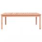 Preview: Gartentisch 121x82,5x45 cm Massivholz Douglasie