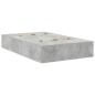 Preview: Stauraumbett Beton grau Holzwerkstoff 120 x 190 cm Stauraumbett