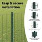 Preview: Euro-Zaun mit Pfosten 10 x 1,5 m PVC-beschichteter Stahl Grün