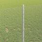 Preview: verzinkter Drahtzaun mit 44 U-Posts Silber 1x50 m Stahl
