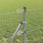 Preview: Geschweißter Drahtzaun mit 13 Pfosten 0,6x50 m Verzinkter Stahl