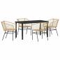 Preview: 5-teiliges Garten-Esszimmer Set Braun Poly-Rattan