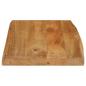 Preview: Tischplatte mit Baumkante 60x40x2,5 cm Massivholz Mango