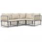 Preview: 4-tlg. Garten-Lounge-Set mit Kissen Anthrazit Poly Rattan