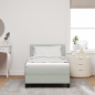 Preview: Boxspringbett mit Matratze Hellgrau Einzelvelours