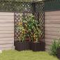 Preview: Garten Pflanzer mit Spalier 3 Stück Braun 80x80x143 cm