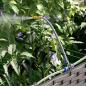 Preview: Gartenpflanzkästen mit Bewässerungssystem 2 Stück Braun
