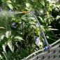 Preview: Gartenpflanzer mit Bewässerungssystem 4 Stk Schwarz