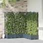 Preview: ARDEBO.de - Gartenpflanzer mit Rankgitter 5 Stk Hellgrau 120x120x125.5 cm
