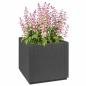 Preview: Gartenpflanzer dunkelgrau 36x36x35 cm aus PP