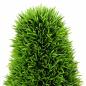 Preview: Künstliche Pflanze Topiary Kiefer mit Topf 24x90 cm Grün