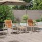 Preview: 3-teiliges Sonnenliegenset mit Gartenstühlen aus solidem Teakholz
