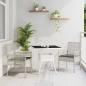 Preview: ARDEBO.de - 3-teiliges Garten-Esszimmer-Set Hellgrau Poly Rattan