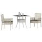 Preview: 3-teiliges Garten-Esszimmer-Set Hellgrau Poly Rattan