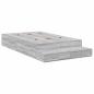 Preview: Bettgestell Grau Sonoma 120x190 cm