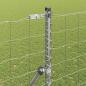 Preview: Euro-Zaun mit 7 Pfosten 1,5x10 m verzinkter Stahl