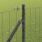 Preview: Euro-Zaun mit Stacheln 10 x 1,6 m PVC-beschichteter Stahl Grau