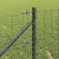 Preview: Euro-Zaun mit Spitzen 10 x 0,8 m PVC-beschichteter Stahl Grau