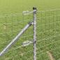Preview: Euro Zaun mit 13 Spitzenpfählen 0.4x50 m Galvanisierter Stahl
