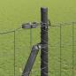 Preview: Euro-Zaun mit Betonsockel 10 x 1,6 m PVC-beschichteter Stahl