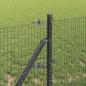 Preview: Geschweißter Drahtzaun mit 13 Pfosten Grau 0,6x50 m Stahl