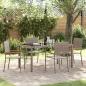 Preview: ARDEBO.de - 5-teilige Garten Essgruppe Grau Poly-Rattan, Stapelgartenstühle mit Kissen 2 Stk Grau Poly-Rattan