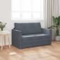 Preview: Boden Schlafsofa 2-in-1 Dunkelgrau 124x204x61 cm Velvet