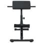 Preview: Hyperextensionsbank 120 kg faltbar und verstellbar aus Stahl