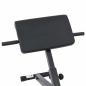 Preview: Hyperextensionsbank 120 kg faltbar und verstellbar aus Stahl