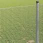 Preview: Geschweißter Drahtzaun 1x50 m Feuerverzinkter Stahl