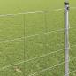 Preview: Feldzaun 1,2x25 m Verzinkter Stahl