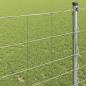 Preview: Feldzaun 1,2x50 m Galvanisierter Stahl