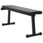 Preview: Klappbare Gewichtsbank 100 kg Schwarz 107x27x41 cm Stahl