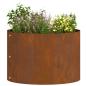 Preview: Corten Stahl Pflanzkübel Cortenstahl Corten Stahl Medium