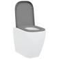 Preview: Toilettendeckel mit Schnellverschluss und sanftem Schließen Duroplast Grau