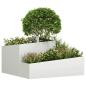 Preview: Pflanzer Weiß 80x80x50 cm aus Kunststoff