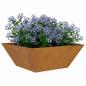 Preview: Metallpflanzer Wetterstahl 40 x 40 x 15 cm Dekorative Einlagen