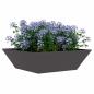 Preview: Metallpflanzer Schwarz Metall 50 x 50 x 15 cm Dekorative Akzente