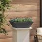 Preview: Metallpflanzer Schwarz Metall 50 x 50 x 15 cm Dekorative Akzente