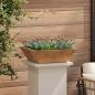 Preview: Metall Pflanzer Verwitterter Stahl 50 x 50 x 15 cm