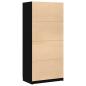 Preview: Kleiderschrank Schwarz Eiche 80x51x180 cm Werkstoff