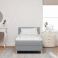 Preview: Boxspringbett mit Matratze Hellgrau 100x200 cm Stoff