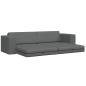 Preview: Boden-Sofa-Bett 2-in-1 Dunkelgrau 245x150x60.5 cm Stoff