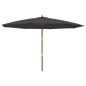 Preview: Sonnenschirm mit Holzmast Schwarz 400x273 cm