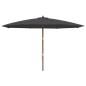 Preview: Sonnenschirm mit Holzmast Schwarz 400x273 cm