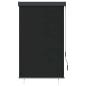 Preview: Außenrollo 100 x 250 cm Anthrazit