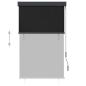 Preview: Außenrollo 100 x 250 cm Anthrazit