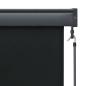 Preview: Außenrollo 100 x 250 cm Anthrazit