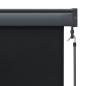 Preview: Außenrollo 120 x 250 cm Anthrazit